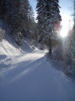 Bozeman Creek